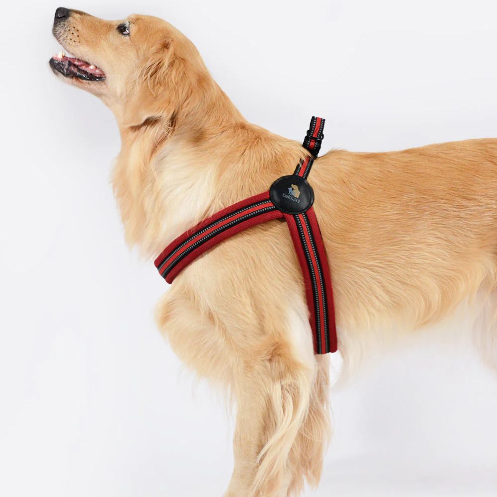 Bella & Pal Simply Go Step-in Dog Harness Chilli Red Actual
