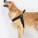 Bella & Pal Simply Go Step-in Dog Harness Classic Black Actual