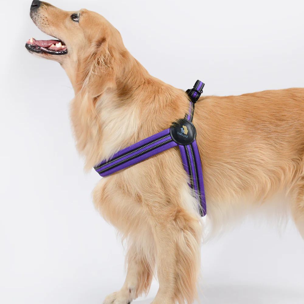 Bella & Pal Simply Go Step-in Dog Harness Violet Actual