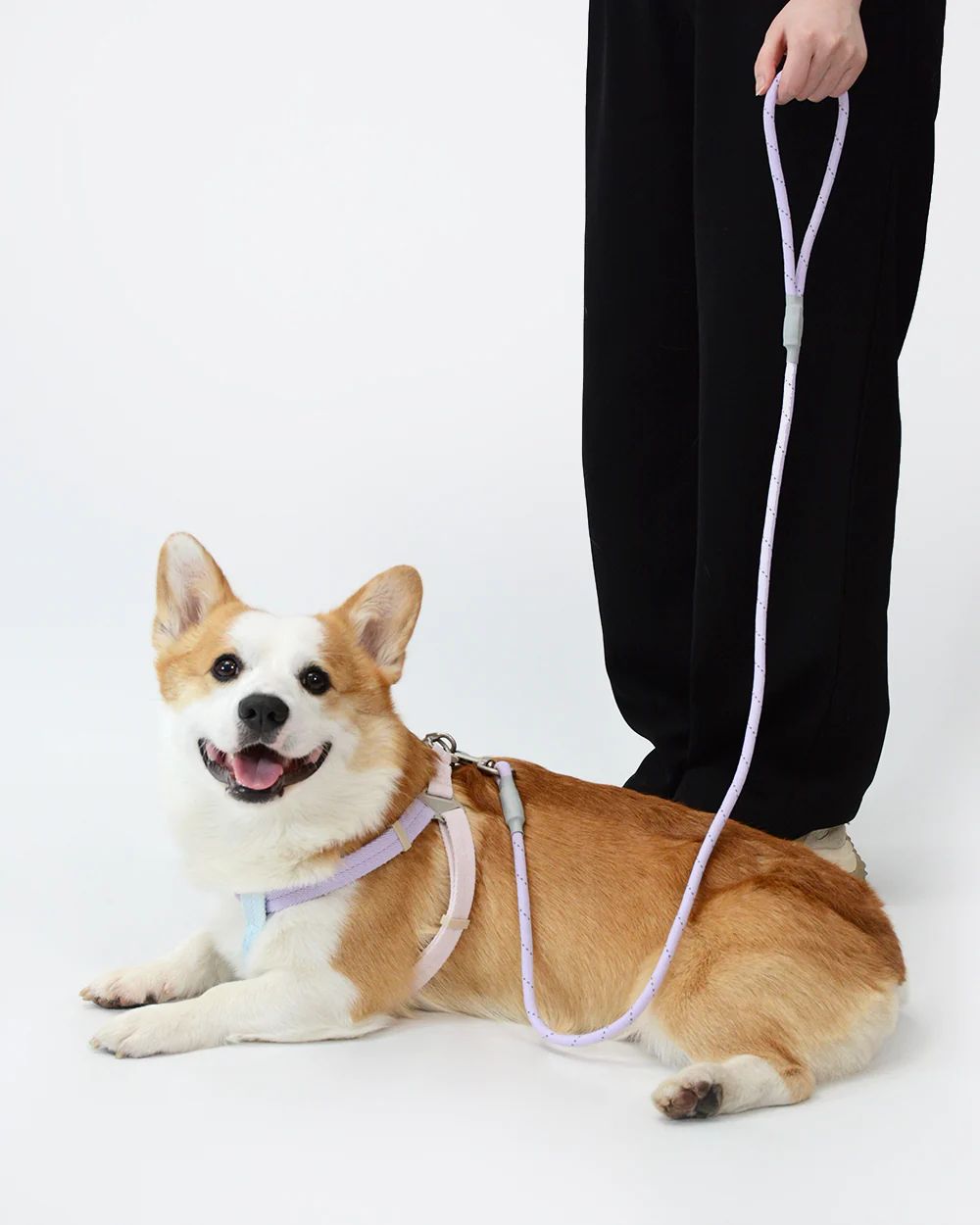 Bella & Pal Reflective Rope Dog Leash Aurora Actual
