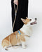 Bella & Pal Reflective Rope Dog Leash Sandbeach Actual