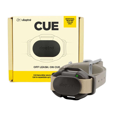 Black Dogtra CUE Additional Receiver collar displayed in front of its box packaging with simple product branding