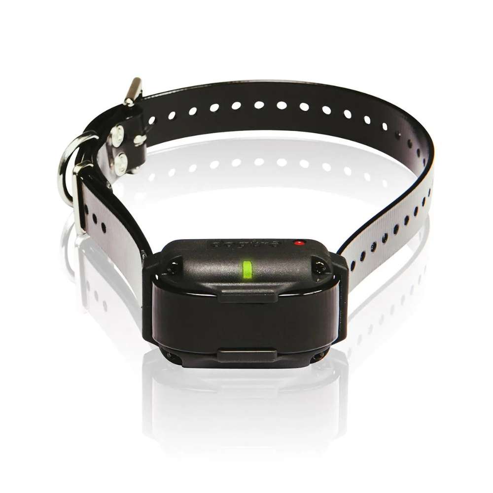 Black Dogtra EDGE RT Additional Receiver shows the compact unit on an adjustable collar strap