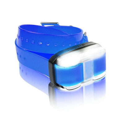 Blue Dogtra EDGE Additional Receiver Dog Collar with a silver receiver is shown neatly coiled, highlighting its bold and cool-toned design