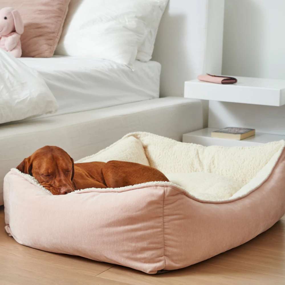 Blush Bowsers One Of A Kind Scoop Dog Bed shows a brown dog sleeping peacefully in a soft pink bed with a plush cream interior beside a neatly made bed