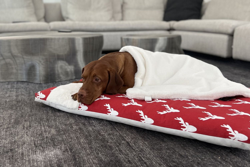 Bowsers Alpine Bed Cozy Winter White Best Dog Beds