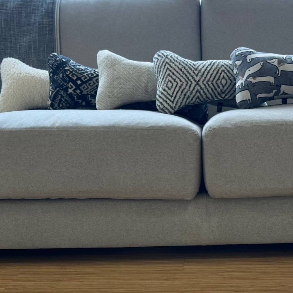 Bowsers Bumper Bone Pillows On Sofa