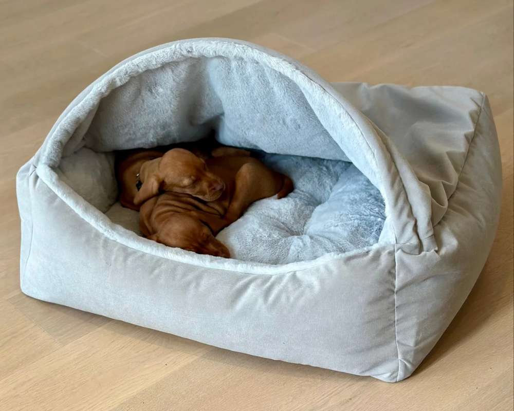 Bowsers Canopy Dog Bed is a light gray plush covered bed with a small brown dog sleeping curled up inside