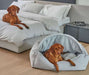 Bowsers Canopy Dog Bed is shown in light gray on a bedroom floor, with one brown dog resting inside and another brown dog lying on the bed behind it