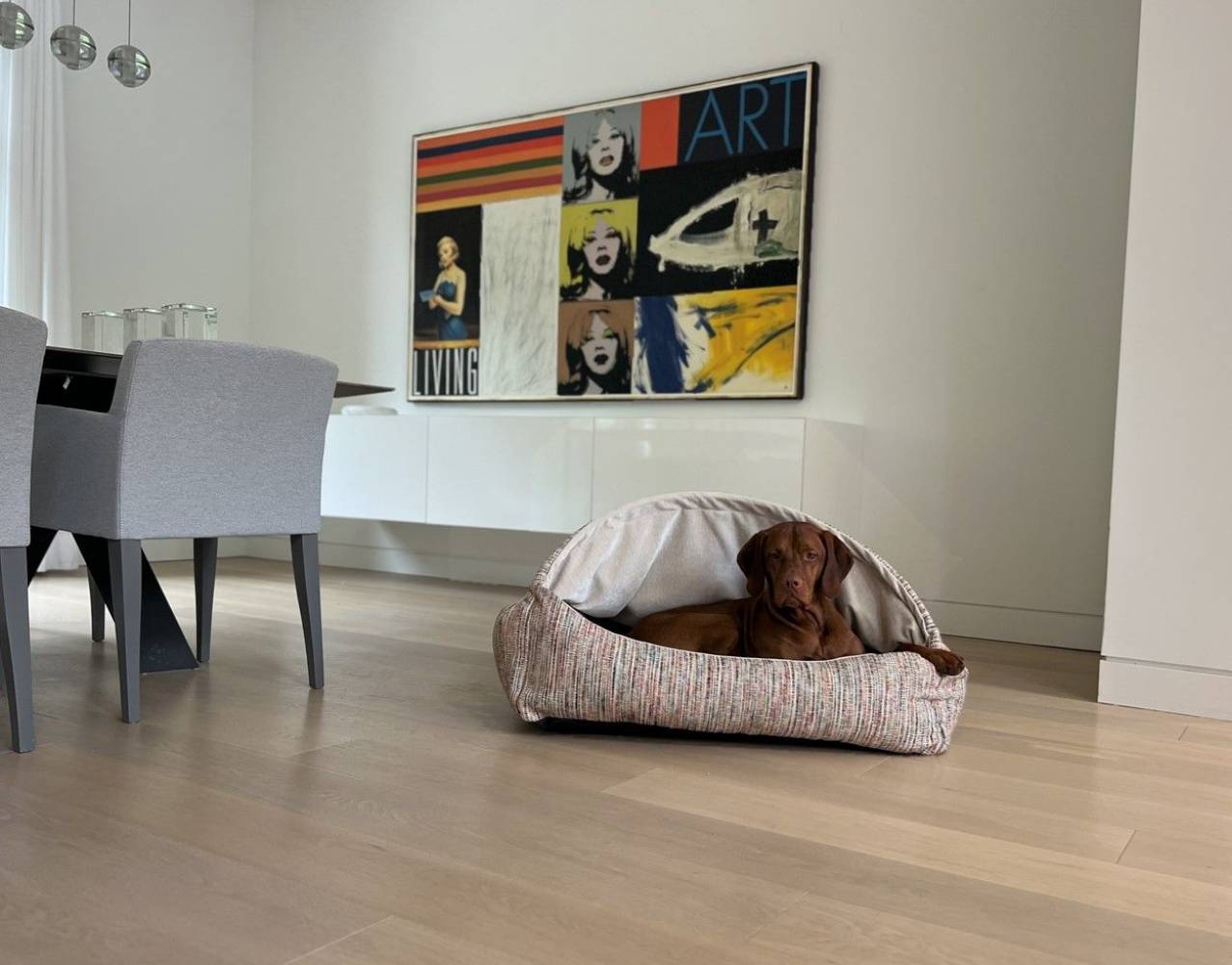 Bowsers Canopy Heavy Duty Dog Bed