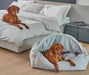 Bowsers Canopy Pet Beds For Dogs