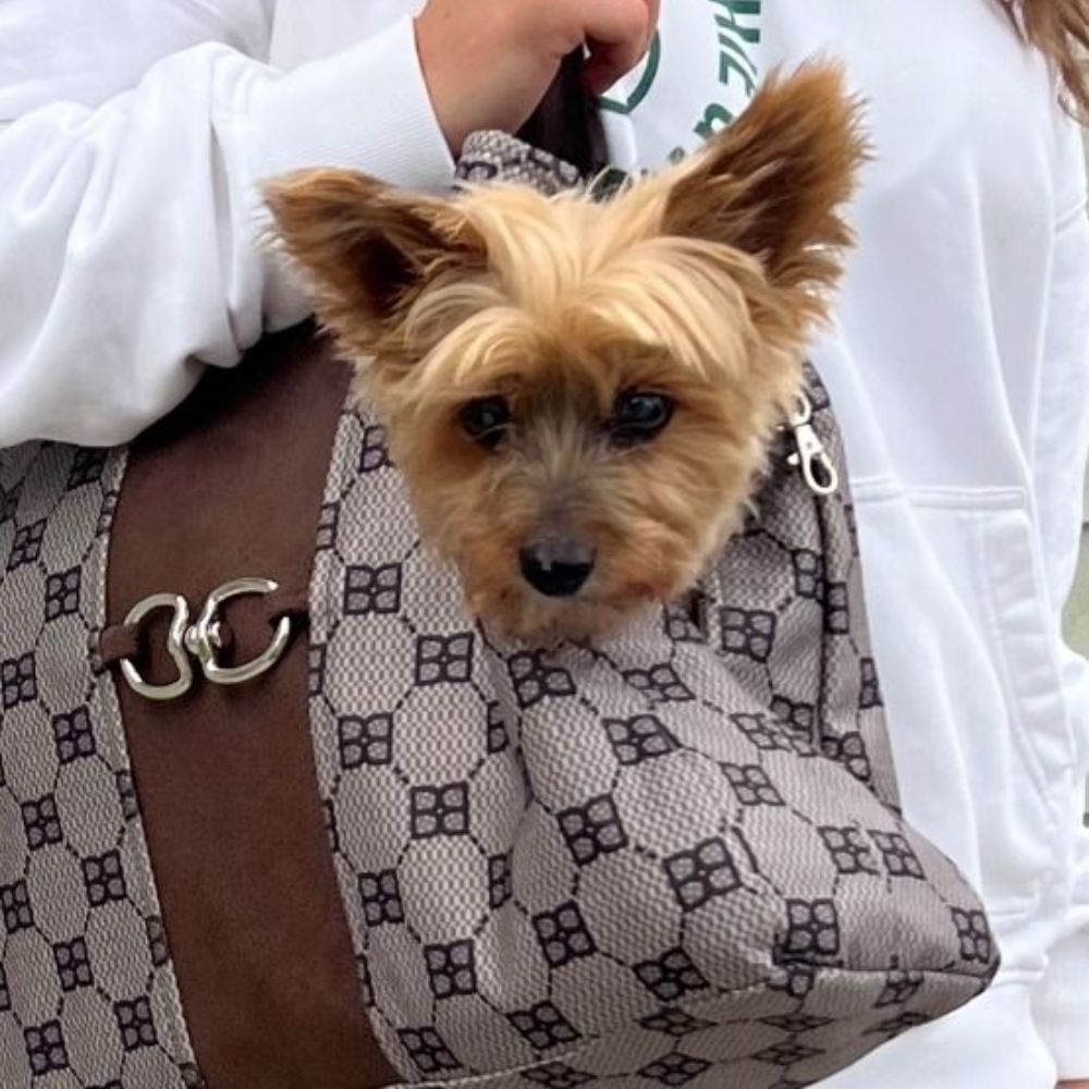 Bowsers Carry-All Bag Small Dog Bags