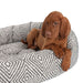 Bowsers Donut Bed - Diamond Collection Pet Beds