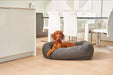 Bowsers Donut Dog Bed - Couture Collection is a gray, plush donut-style dog bed with a brown dog resting inside it on a light wood floor near a modern dining table