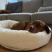 Bowsers Donut Pet Bed - Couture Collection