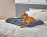 Bowsers Dream Futon Dog Bed is placed on a bed while a brown dog lies comfortably on top of it