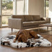Bowsers Maverick Rugbed shows a brown dog lying comfortably on a cow-patterned mat in a bright living room with wooden floors and a sofa