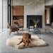 Bowsers Maverick Rugbed shows a brown dog resting on a beige mat in a modern living room with a fireplace and minimalist furniture