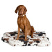 Bowsers Maverick Rugbed shows a brown dog sitting upright on a cow-patterned mat, looking alert against a simple white background