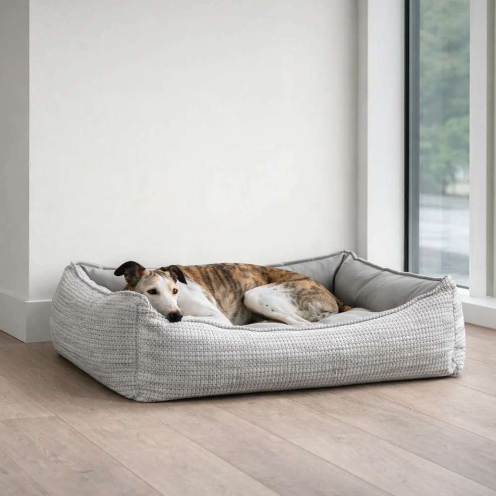 Bowsers One Of A Kind Scoop Dog Bed shows a slender dog lying comfortably in a light gray textured bed near a bright window