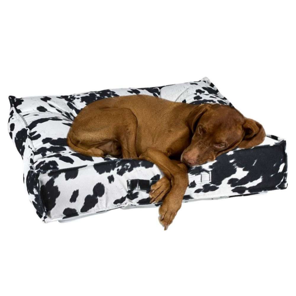 Bowsers Piazza Dog Bed in black-and-white cowhide print shows a brown dog resting comfortably on the plush cushion