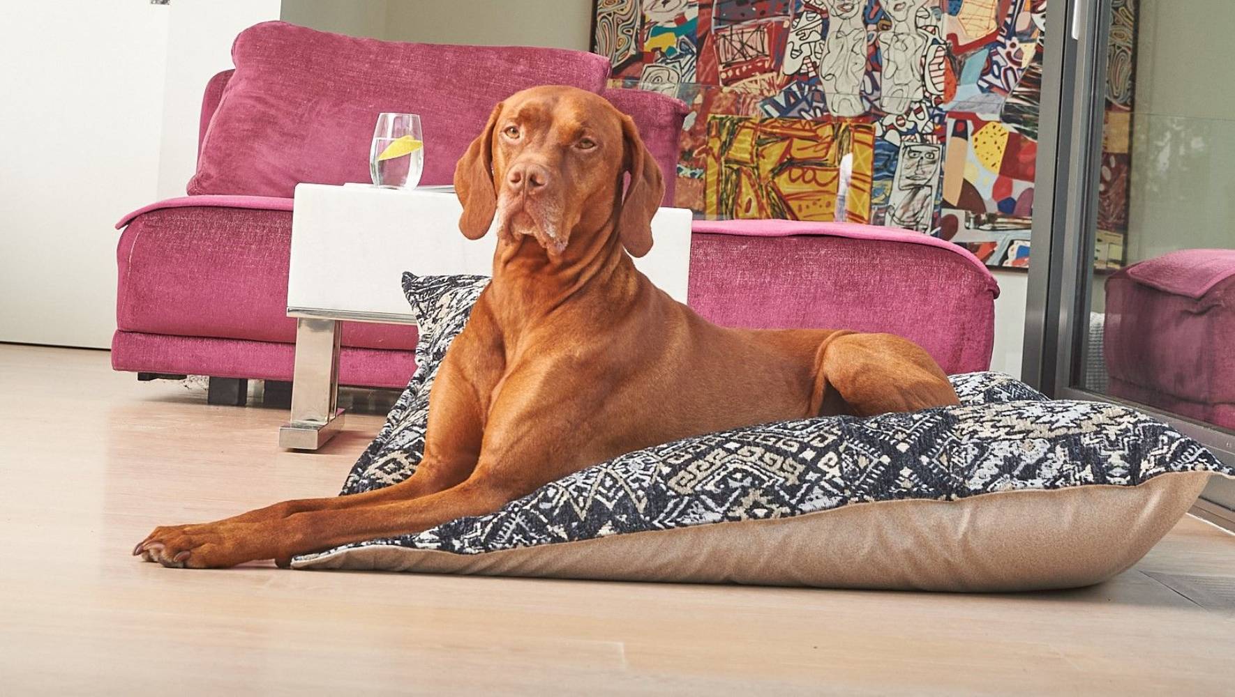 Bowsers Premium Square Soho Bed For Dogs
