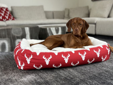 Bowsers The Alpine Lounger Best Dog Beds