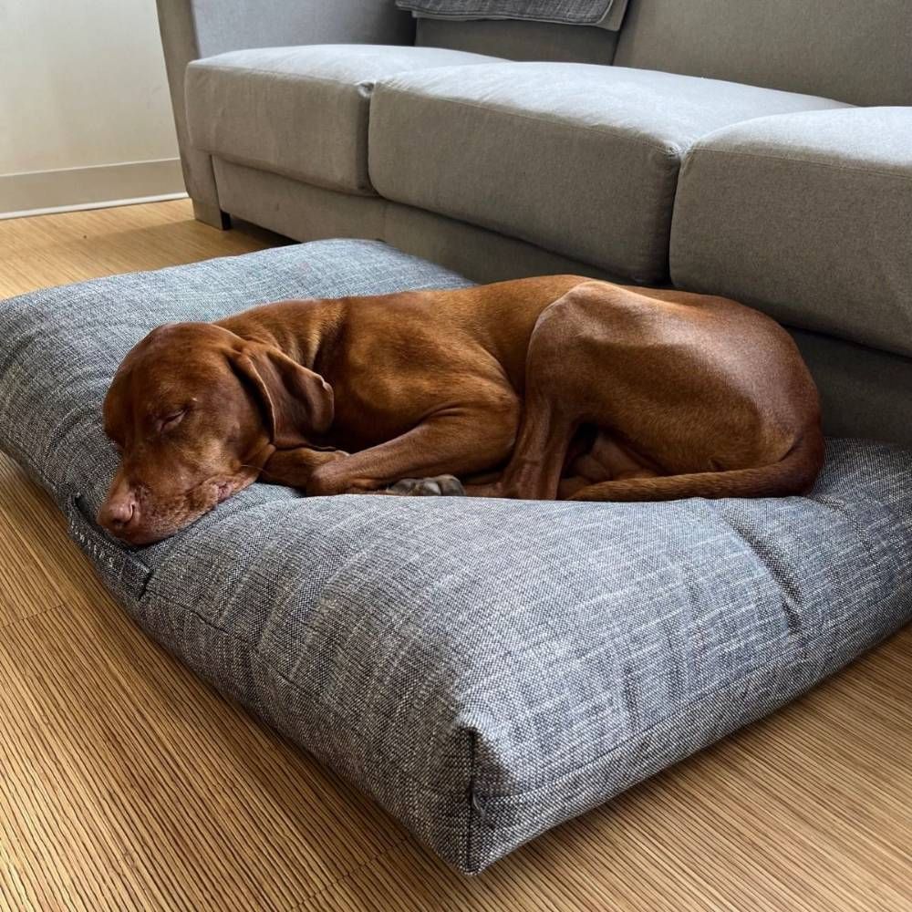 Bowsers The Avenue Durable Dog Beds