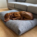 Bowsers The Avenue Durable Dog Beds