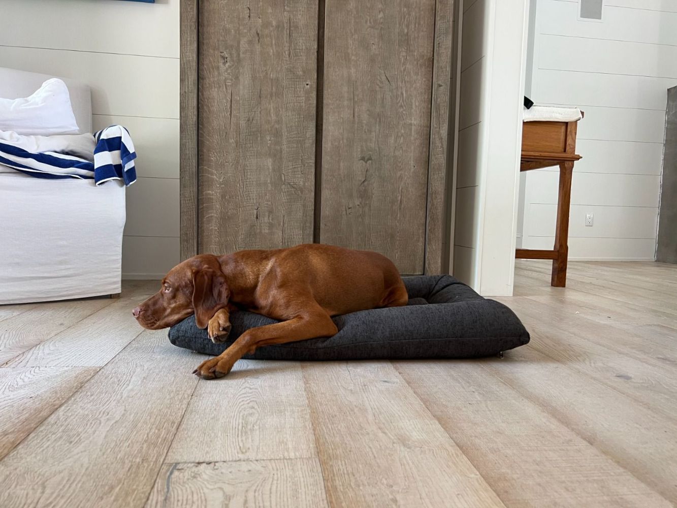 Bowsers The Hugo Futon Durable Dog Beds