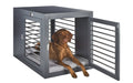 Bowsers The Moderno Washable Dog Crate Mat And Dog Bed