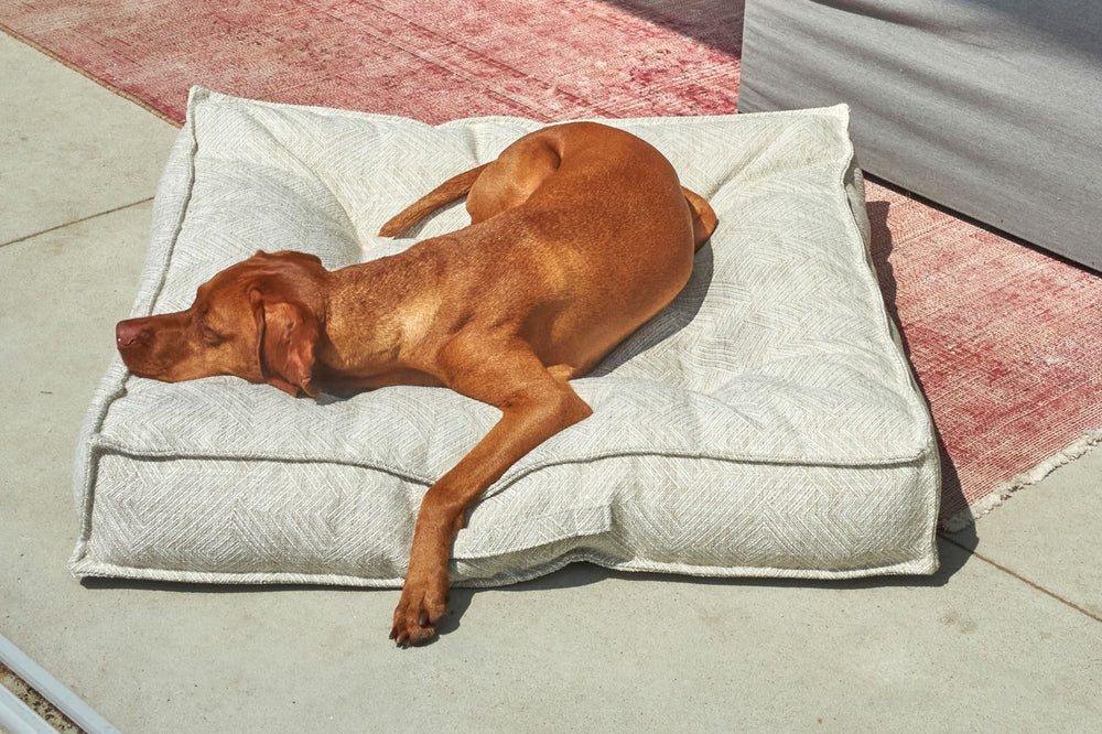 Bowsers The Piazza Dog Bed