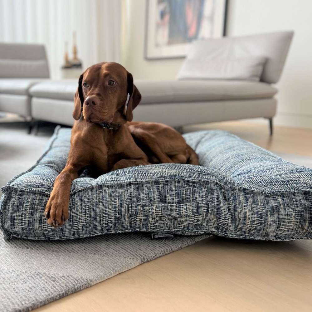 Bowsers Piazza Dog Bed displays a brown dog lounging on a soft blue patterned bed with raised padded edges