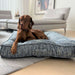 Bowsers Piazza Dog Bed displays a brown dog lounging on a soft blue patterned bed with raised padded edges
