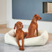 Bowsers Urban Lounger Dog Bed - Couture Collection Orthopedic Dog Beds