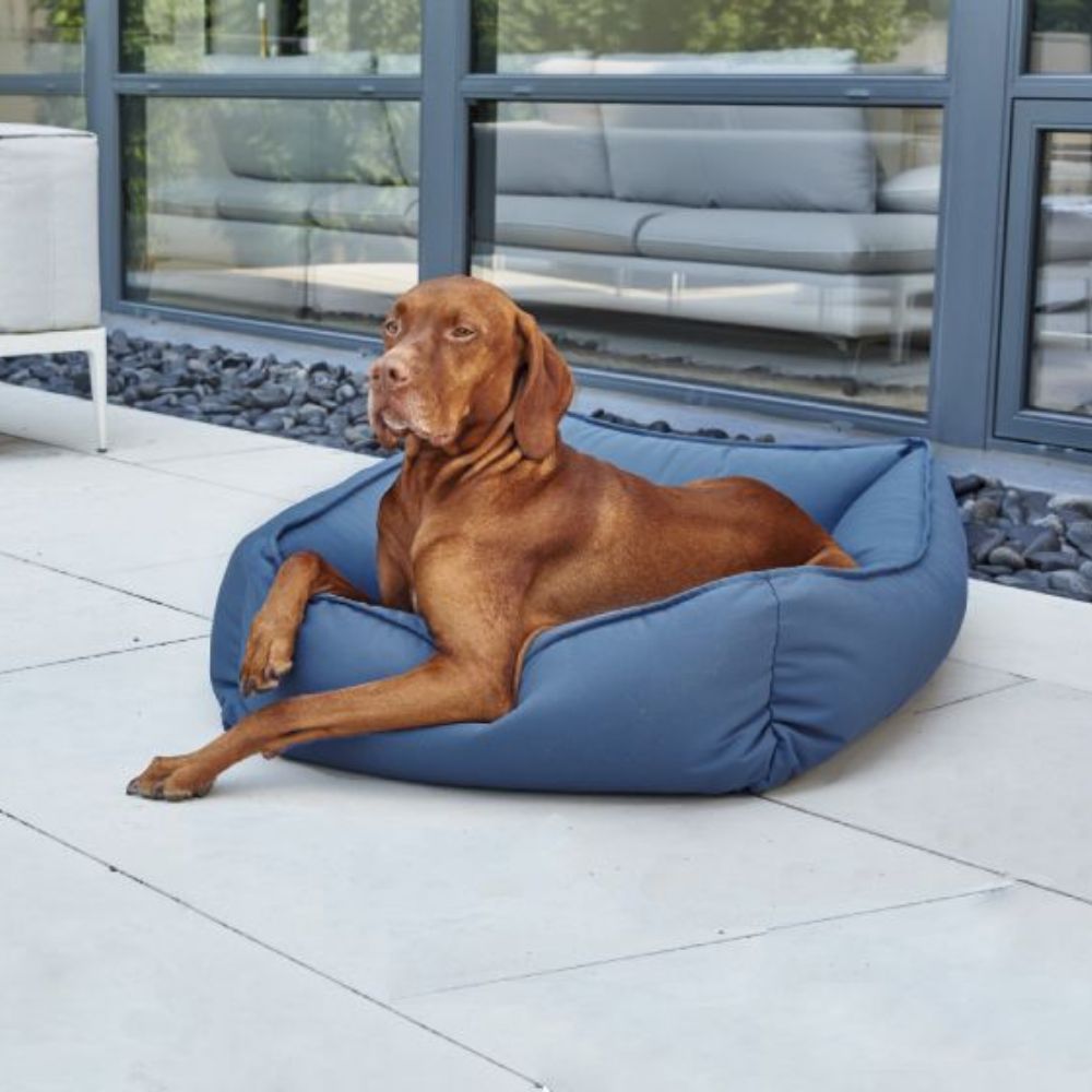 casual dress dog beds Elevated Dog Sofa Bed for Big Dogs with Armrests and Backrest, Durable Linen Fabric : Target