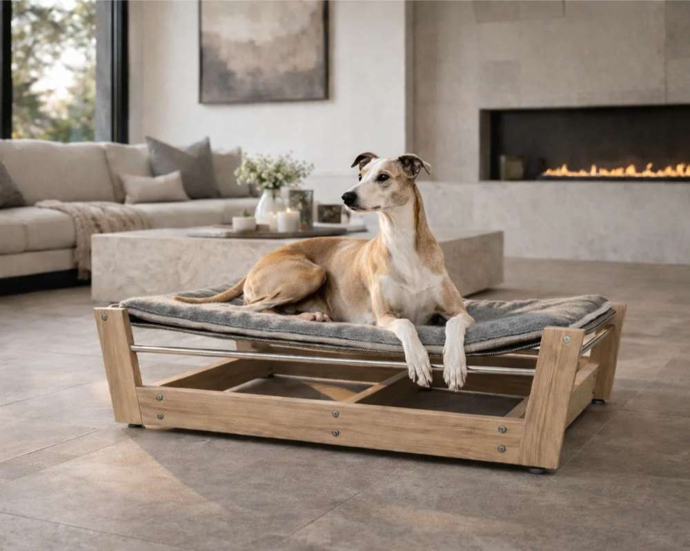Bowsers Yugen Pet Lounger White Oak is displayed indoors with a dog resting on a raised cushioned bed in a stylish living room near a fireplace