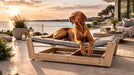 Bowsers Yugen Pet Lounger White Oak shows a large dog relaxing on a cushioned elevated bed with a sleek wood base in an outdoor setting