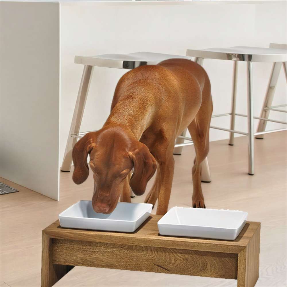 Brown dog eats from the raised Bowsers Bamboo Artisan Wood Feeder double feeder with two white bowls in a clean indoor space