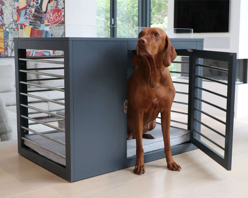 Brown dog is sitting partly inside Bowsers Moderno Dog Crate with the front door open, showing the crate’s roomy cushioned interior
