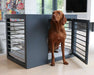 Brown dog is sitting partly inside Bowsers Moderno Dog Crate with the front door open, showing the crate’s roomy cushioned interior
