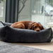 Brown dog lies curled up in a dark gray cushion-style bed by a large window, resting comfortably on Bowsers The Franklin Dog Bed