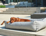 Brown dog lies stretched out in a light gray Bowsers Outdoor Urban Lounger Dog Bed on a sunny modern patio near outdoor lounge furniture