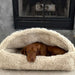 Brown dog lies tucked under the cream shaggy canopy of Bowsers Canopy Cozy Dog Bed in front of a fireplace