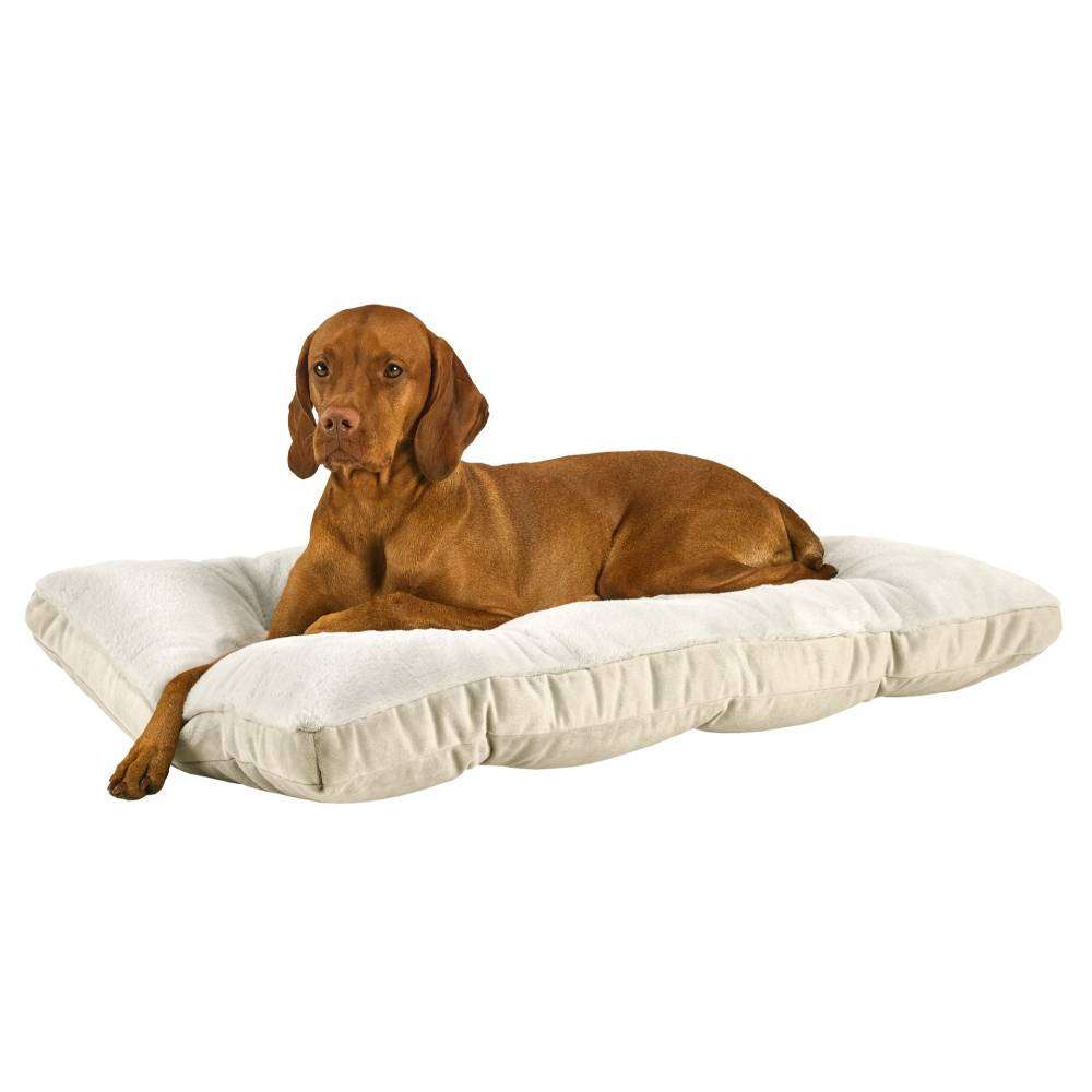 Brown dog lounges on a cream-colored Bowsers Dream Futon Dog Bed with thick cushioned sides