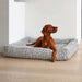Brown dog lounges on a textured gray Bowsers Divine Futon Dog Bed with raised cushioned sides in a bright minimalist room