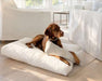 Brown dog lounges on the removable cover beside the cushioned insert of Bowsers Avenue Dog Bed in a cozy home setting