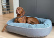 Brown dog lounges proudly in a soft blue and gray Bowsers Ovie Dog Bed inside a modern home
