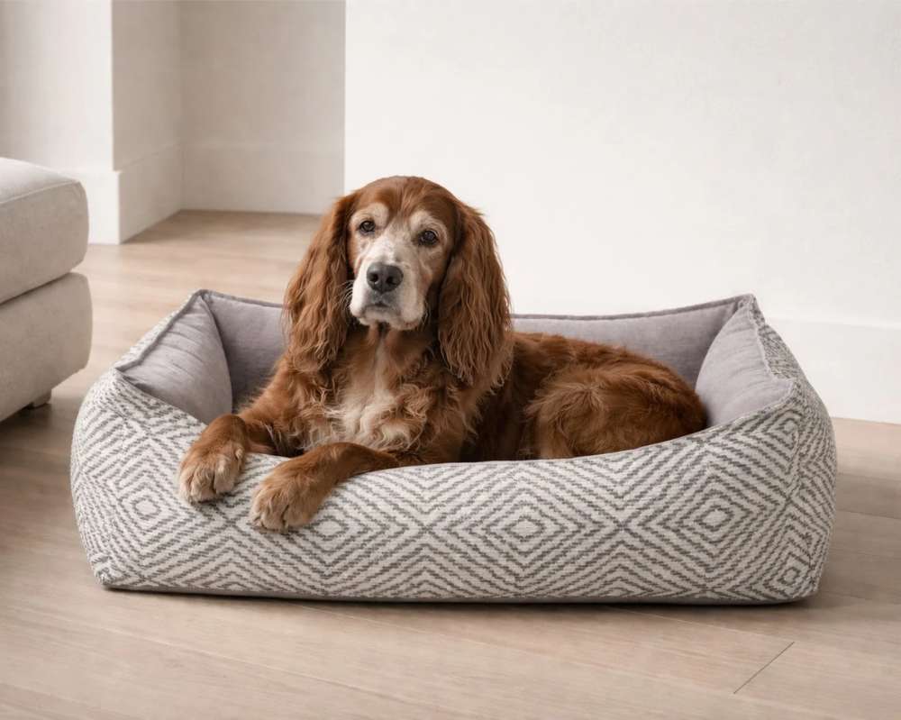 Brown dog relaxes comfortably inside the patterned gray Bowsers Oslo Ortho Bed with supportive raised edges on a light wood floor