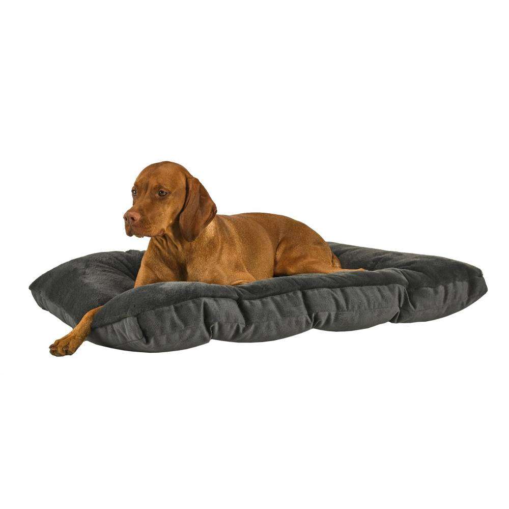Brown dog relaxes comfortably on the charcoal gray Bowsers Dream Futon Dog Bed against a plain background